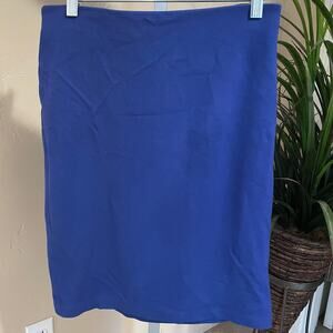 Philosophy Republic Clothing Skirt Size 4 Blue Knit Stretch Pencil